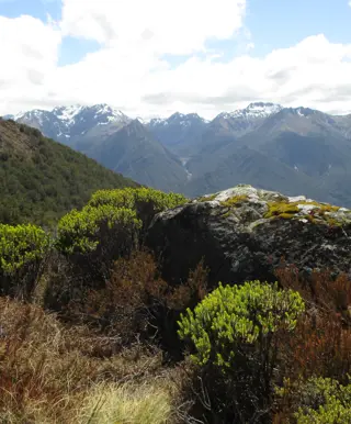 Great Walks - Kepler Track